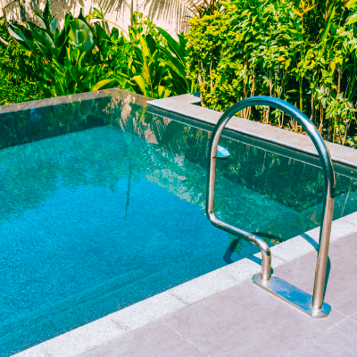 Pool Algae Removal
